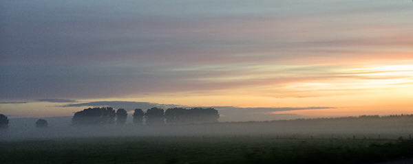 early morning in august 2014, Kranenburg, Germany